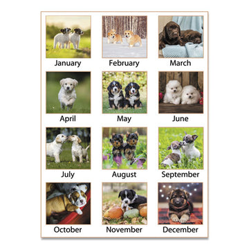 AT-A-GLANCE® Puppies Monthly Desk Pad Calendar, Puppies Photography, 22 X 17, White Sheets, Clear Corners, 12-month (jan To Dec): 2022 freeshipping - TVN Wholesale